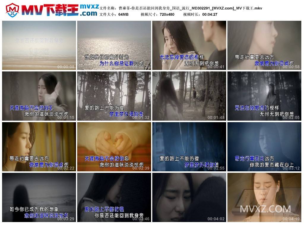 曹乘菲-你是否还能回到我身旁_国语_流行_MD302291